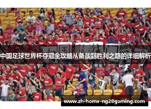 中国足球世界杯夺冠全攻略从备战到胜利之路的详细解析