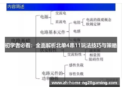 初学者必看：全面解析北单4串11玩法技巧与策略