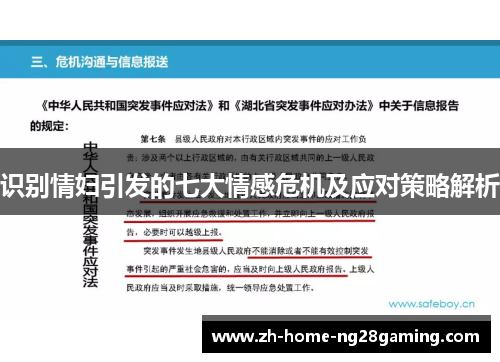 识别情妇引发的七大情感危机及应对策略解析