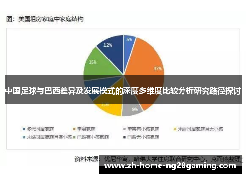 中国足球与巴西差异及发展模式的深度多维度比较分析研究路径探讨