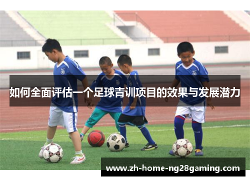 如何全面评估一个足球青训项目的效果与发展潜力