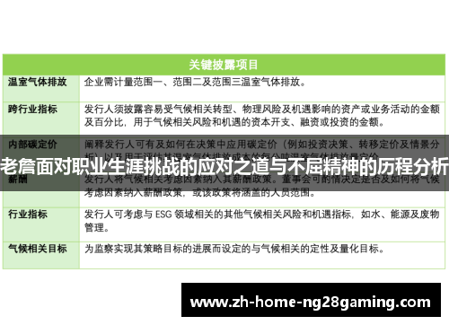 老詹面对职业生涯挑战的应对之道与不屈精神的历程分析