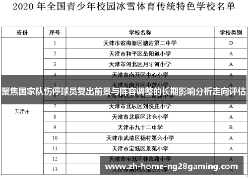 聚焦国家队伤停球员复出前景与阵容调整的长期影响分析走向评估