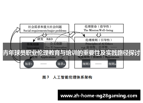 青年球员职业伦理教育与培训的重要性及实践路径探讨